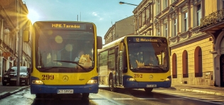 Autobusy miejskie w Tarnowie