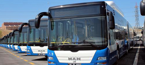 250 autobusów CNG